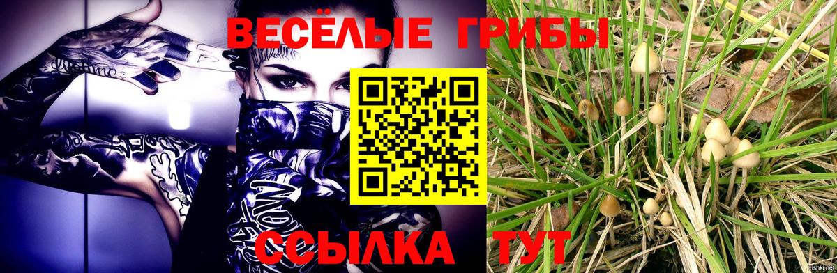 Галлюциногенные грибы GOLDEN TEACHER  Псилоцибиновые грибы Psilocybine cubensis  Вход с VPN  Кузнецк 