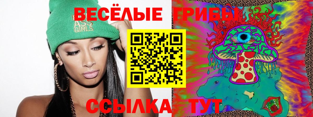 Псилоцибиновые грибы Cubensis Кузнецк